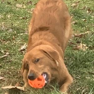 Meet your Posher, Paul